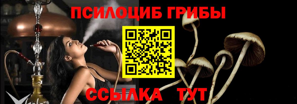Галлюциногенные грибы Magic Shrooms Прохладный